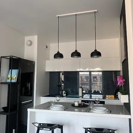 Ekskluzywny Penthouse Z Ogrodem W Centrum Lodzi * Łódź