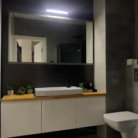 Appartamento Ekskluzywny Penthouse Z Ogrodem W Centrum Lodzi