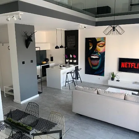 Appartamento Ekskluzywny Penthouse Z Ogrodem W Centrum Lodzi