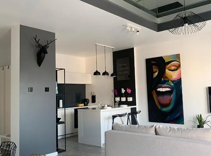 Ekskluzywny Penthouse Z Ogrodem W Centrum Lodzi Lejlighed