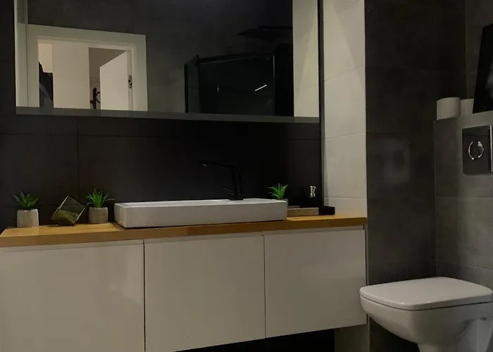 Ekskluzywny Penthouse Z Ogrodem W Centrum Lodzi * Łódź